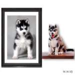 MemoPortrait - Image 5