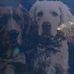 Glass Hammer Art Wall Decor - Image 7