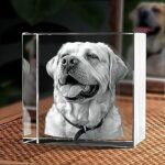 Square Crystal Spinning Music Box with Engraved Design - Image 6