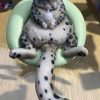 custom-pet-figurine-example-3 Custom Pet Photo Figurine