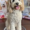 custom-pet-figurine-example-4 Custom Pet Photo Figurine