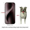 Custom Pet Photo Figurine