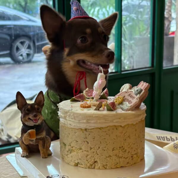 Custom Pet Photo Figurine