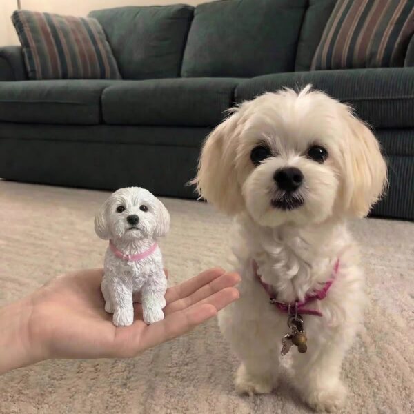 Custom Pet Photo Figurine