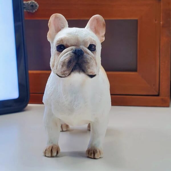 Custom Pet Photo Figurine
